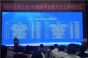 以晴集团红河凯立特科技上榜2017云南企业100强